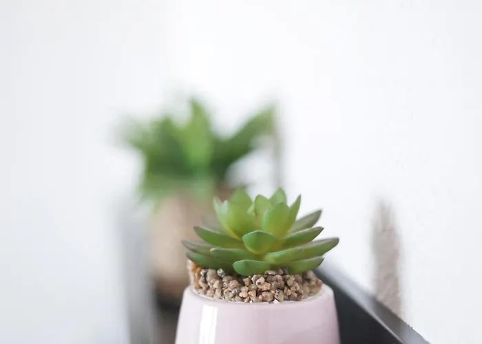 Apartamento Le Cleuson - Centre Avec Vue *