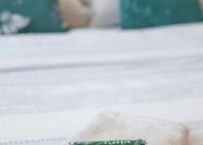 Apartamento Le Cleuson - Centre Avec Vue *